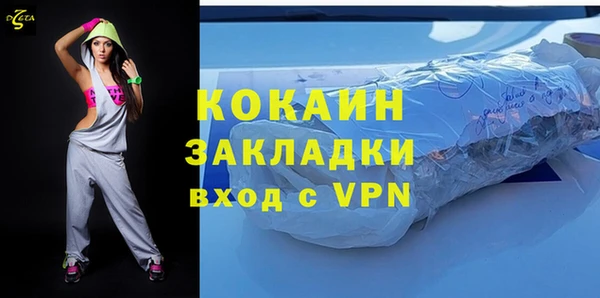 сатива Няндома