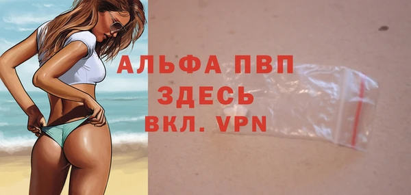 сатива Няндома