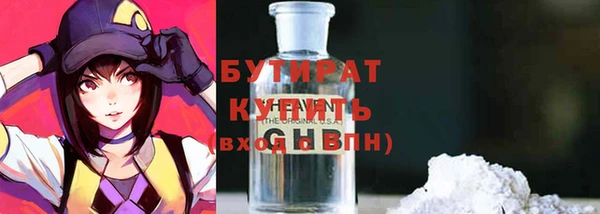сатива Няндома