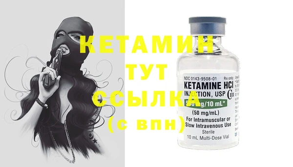 сатива Няндома