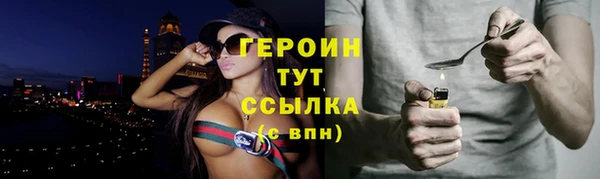 сатива Няндома