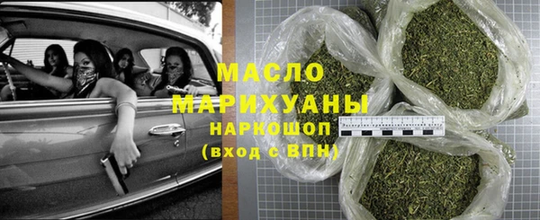 сатива Няндома