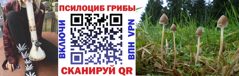 даркнет как зайти  магазин продажи наркотиков  Северск  Галлюциногенные грибы Cubensis 